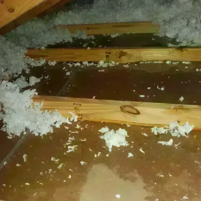 Attic Water Damage in Mannington, WV